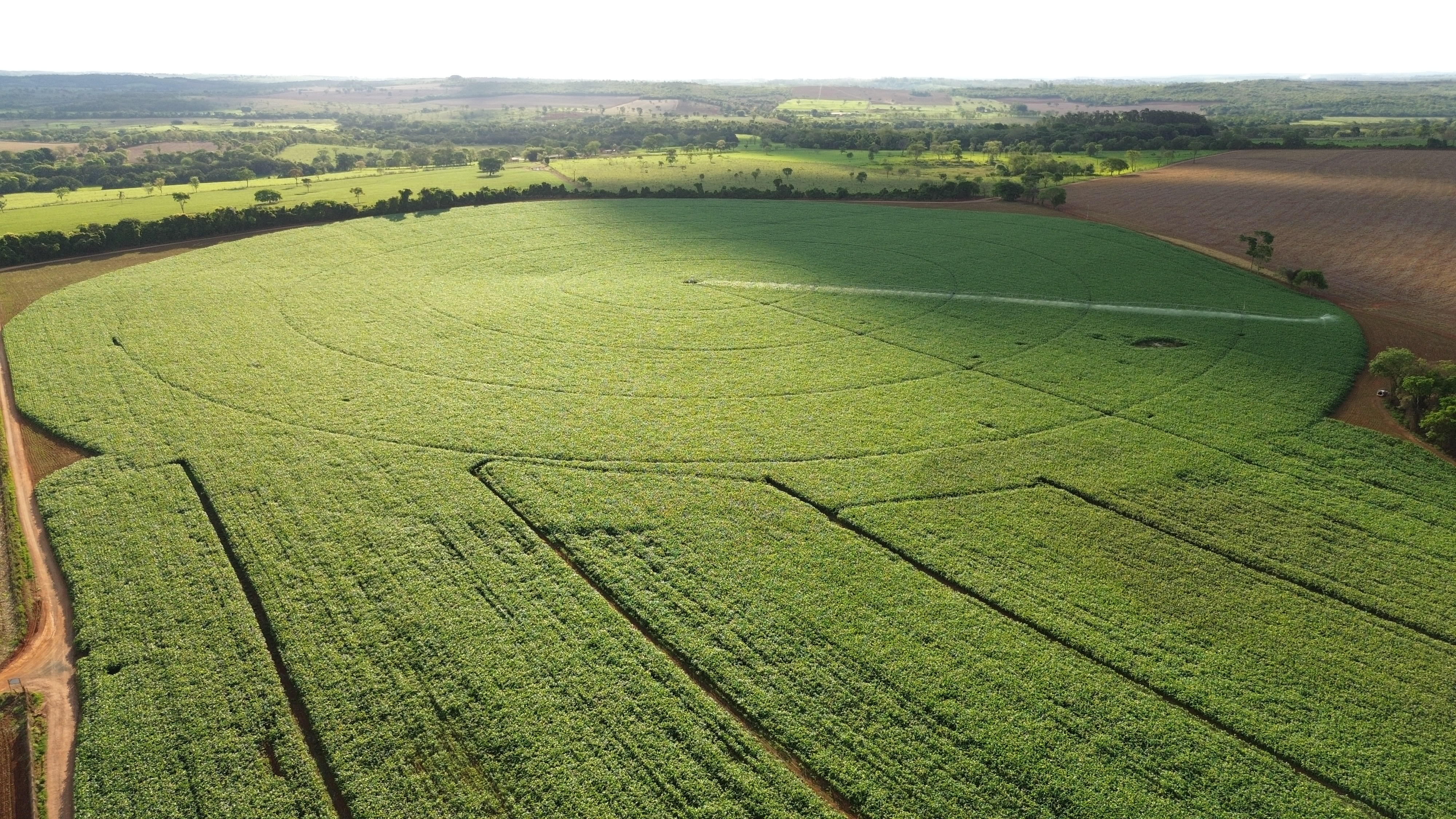Foto aérea de um Pivô central